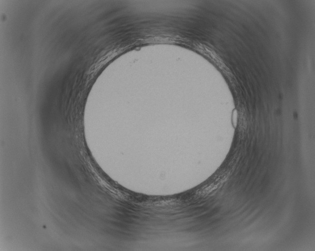 X0000067830433200605111621