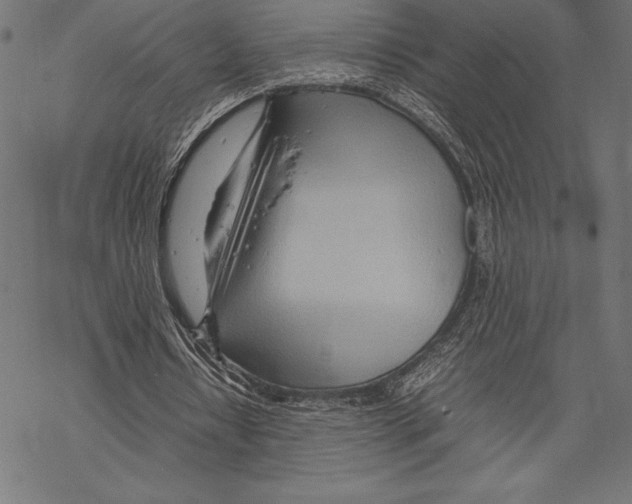 X0000067830434200605111621