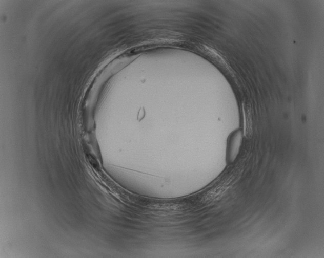 X0000067830435200605111621