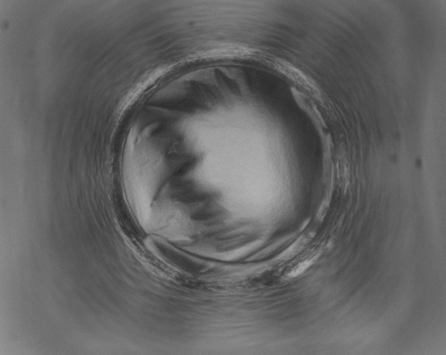 X0000067830436200605111621