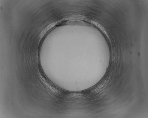 X0000067830437200605111621