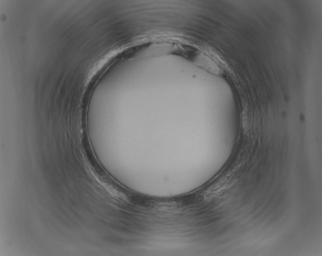 X0000067830438200605111621