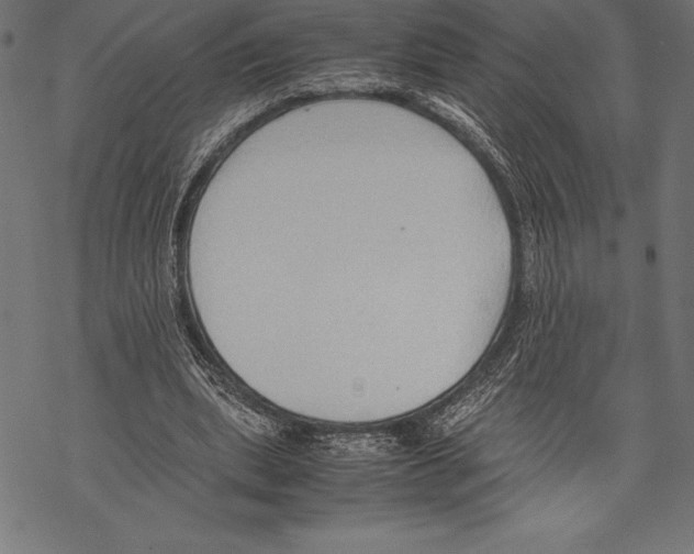 X0000067830439200605111621