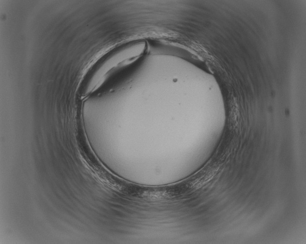 X0000067830440200605111621