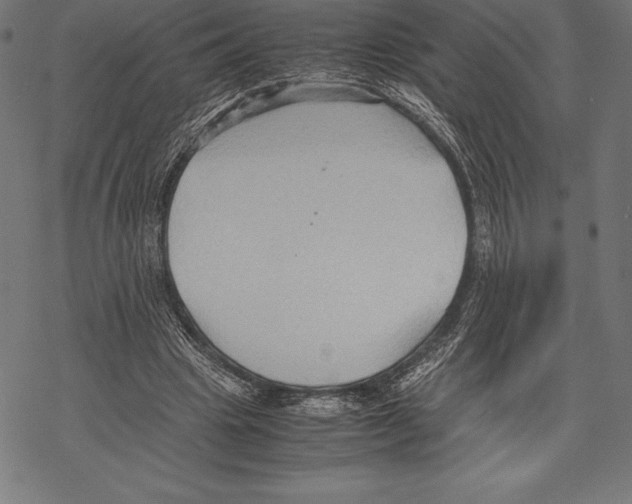 X0000067830441200605111621