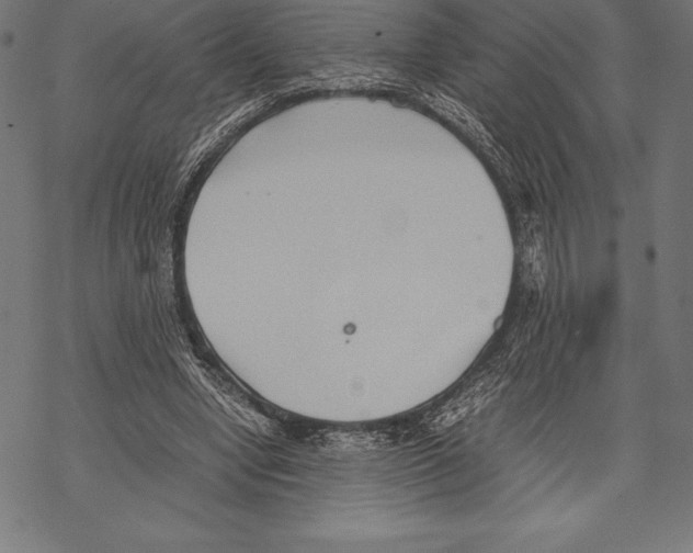 X0000067830442200605111621