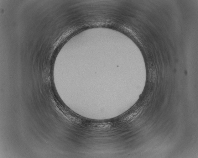 X0000067830443200605111621