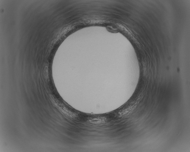 X0000067830447200605111621