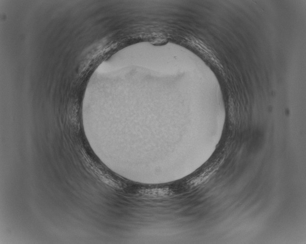 X0000067830449200605111621