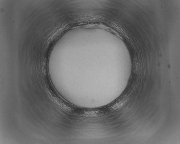 X0000067830450200605111621