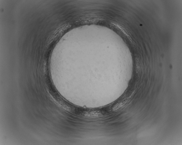 X0000067830451200605111621