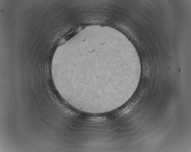 X0000067830453200605111621