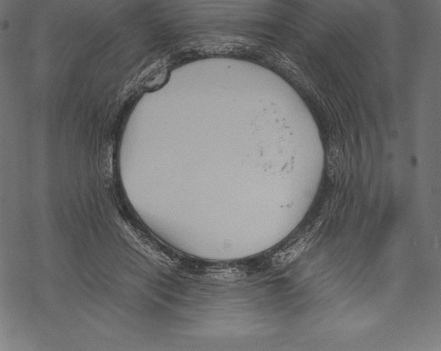 X0000067830454200605111621