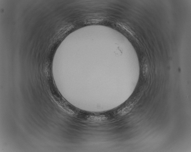 X0000067830455200605111621