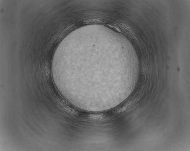 X0000067830457200605111621