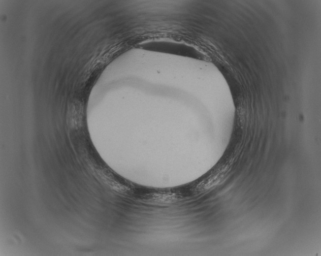 X0000067830458200605111621