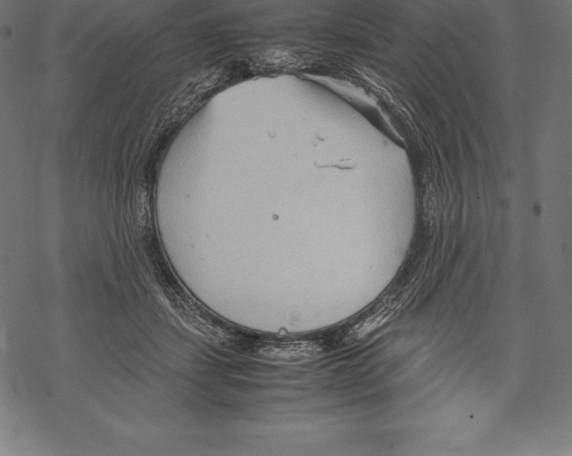 X0000067830459200605111621