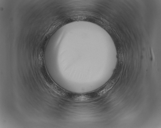 X0000067830460200605111621