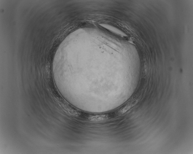 X0000067830461200605111621