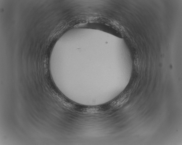 X0000067830462200605111621