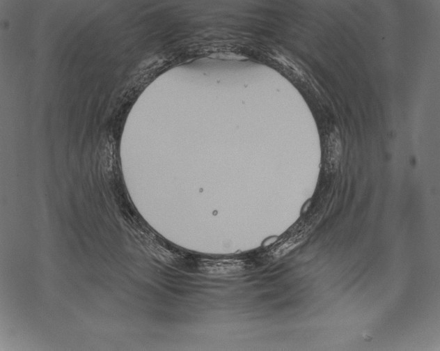 X0000067830463200605111621