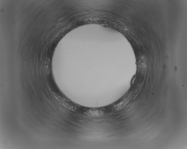 X0000067830464200605111621