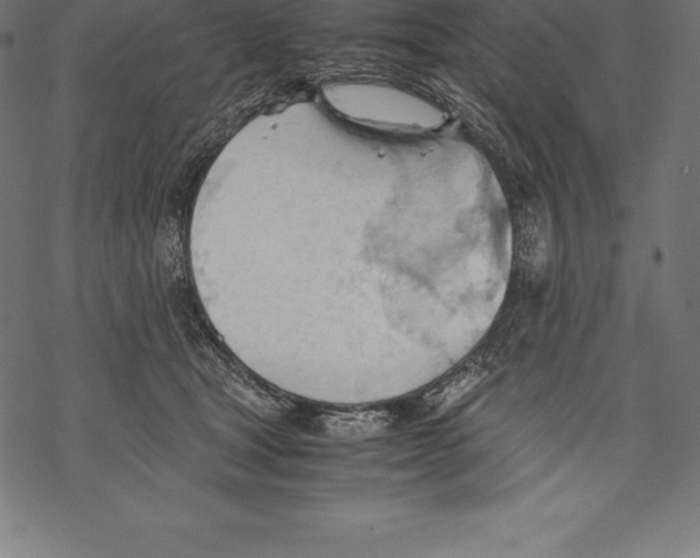 X0000067830465200605111621