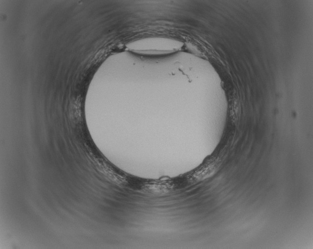 X0000067830466200605111621