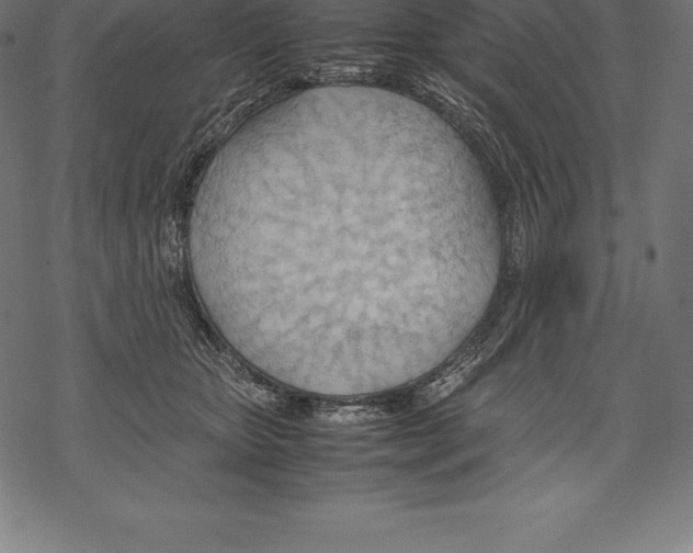 X0000067830467200605111621