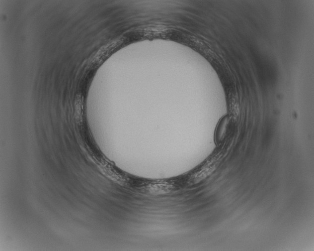 X0000067830468200605111621