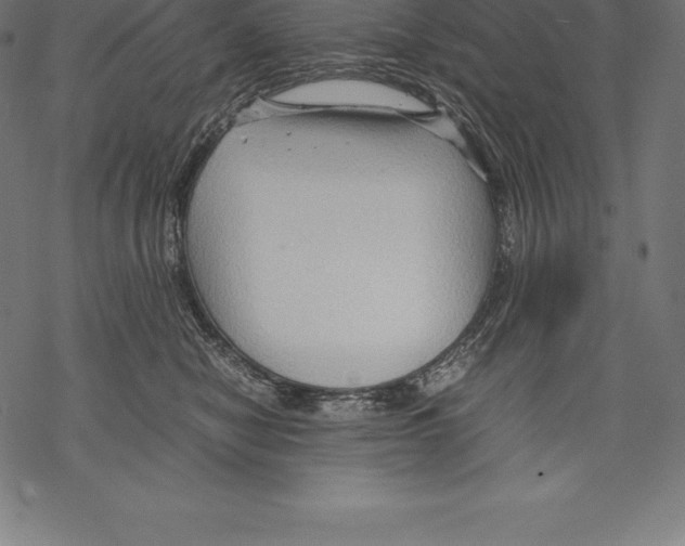 X0000067830470200605111621