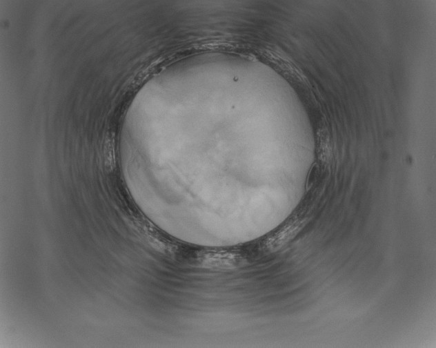 X0000067830471200605111621