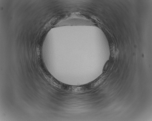 X0000067830472200605111621