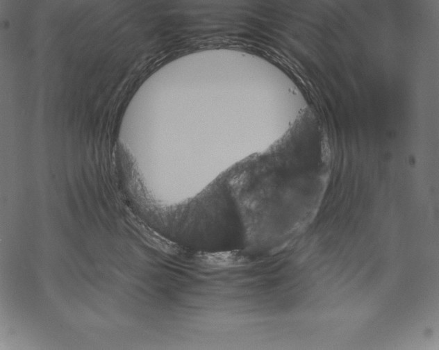 X0000067830473200605111621