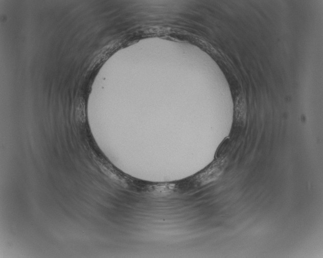 X0000067830474200605111621