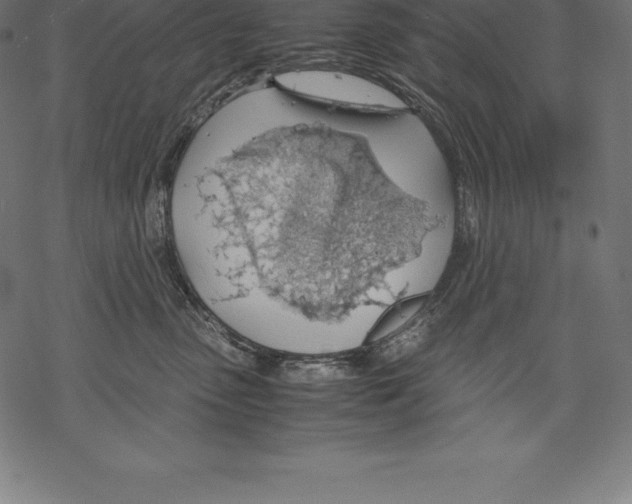 X0000067830475200605111621