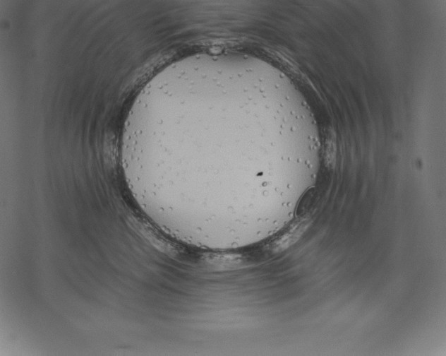 X0000067830476200605111621