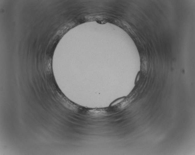 X0000067830477200605111621