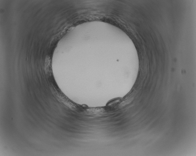 X0000067830480200605111622