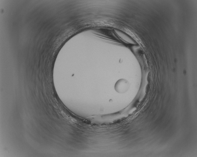 X0000067830481200605111621