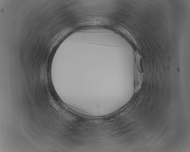 X0000067830482200605111621