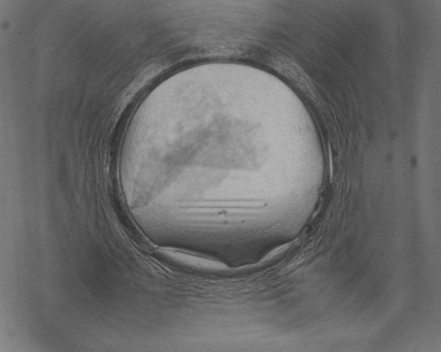 X0000067830483200605111621