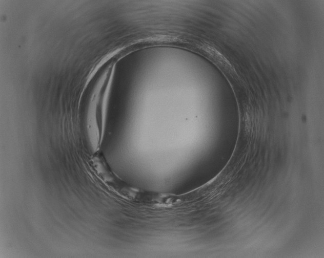 X0000067830484200605111621