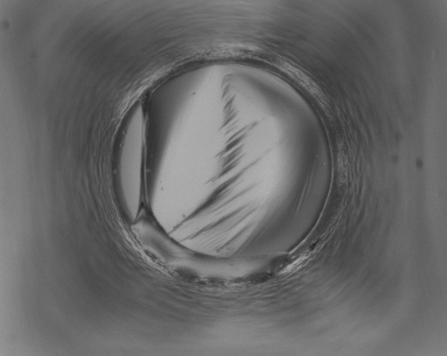 X0000067830485200605111621