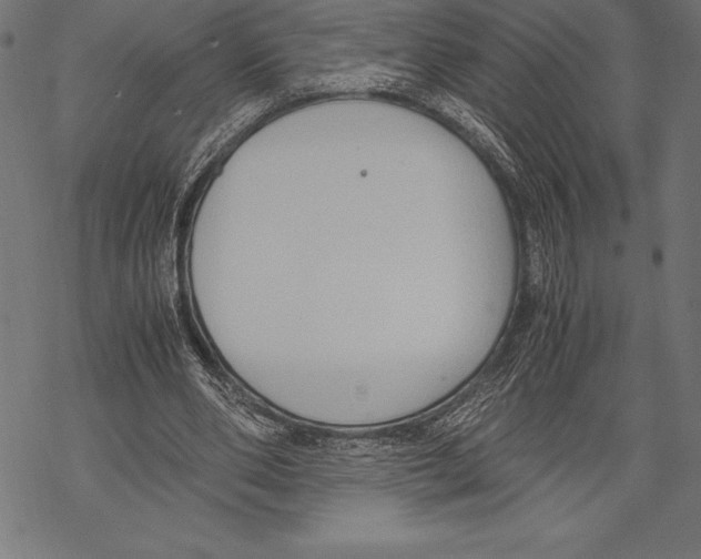 X0000067830486200605111621