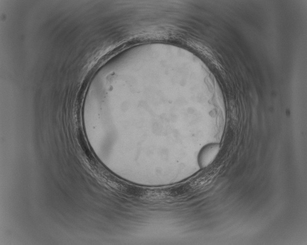 X0000067830487200605111621