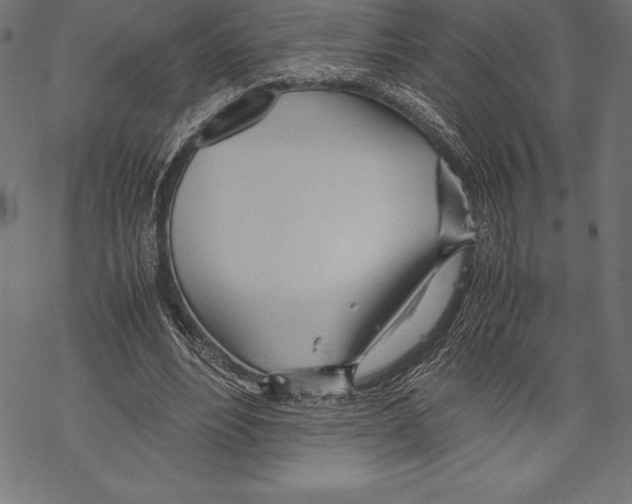 X0000067830488200605111621