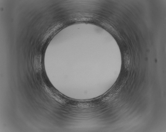 X0000067830490200605111620