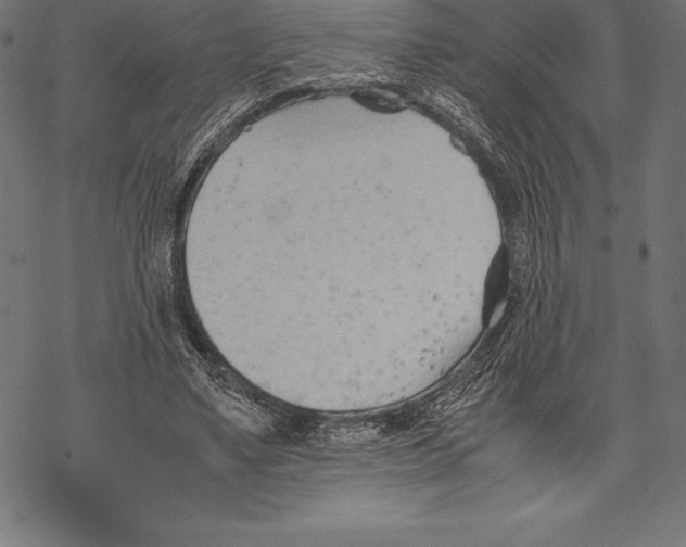 X0000067830491200605111620