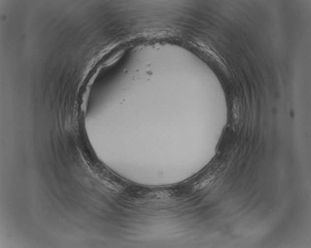 X0000067830492200605111620